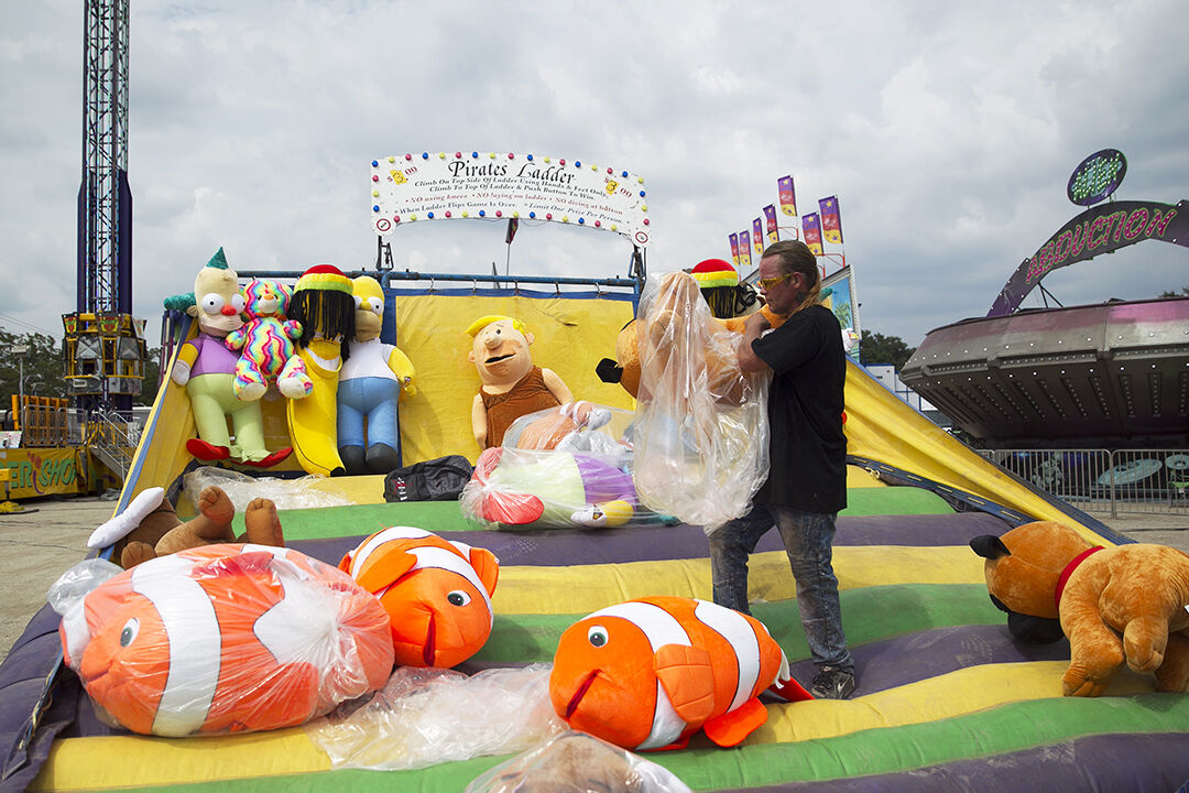 Fair preview
